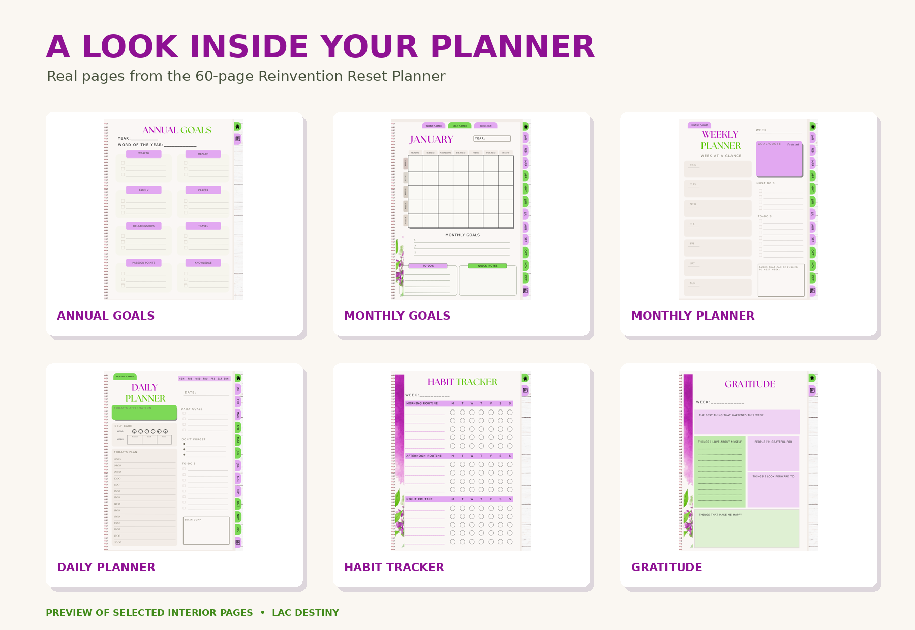 Planner Interior Preview